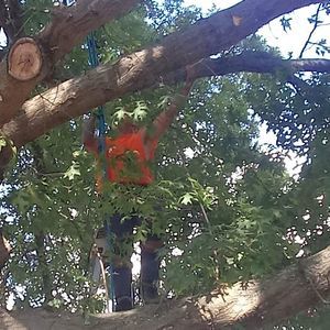 Meet your Posher, Dustin